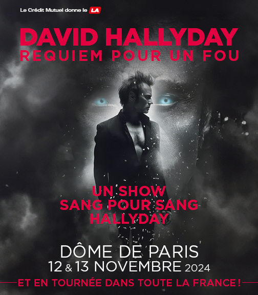 David Hallyday - Requiem pour un fou - Zenith de Lille