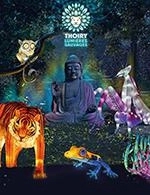 Book the best tickets for Zoosafari De Thoiry - Master Days - Zoosafari De Thoiry - From February 20, 2024 to June 30, 2024