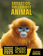 Réservez les meilleures places pour Zooparc De Beauval - Billet 2 Jours Date - Zooparc De Beauval - Du 5 avril 2025 au 31 décembre 2025